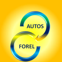 Importadora Forel