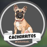 Cachorritos DR