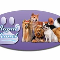 ROYAL KENNEL SERVICES & TRAVEL