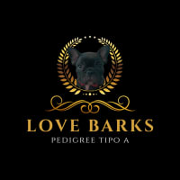 Love Barks