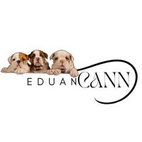 eduancann.cl Cachorros bulldog francés e inglés