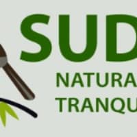 Sudvi