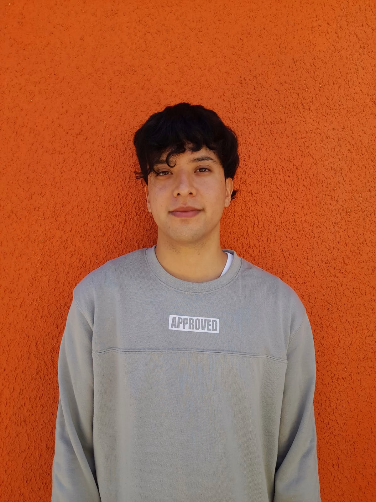 Sebastian Villarroel