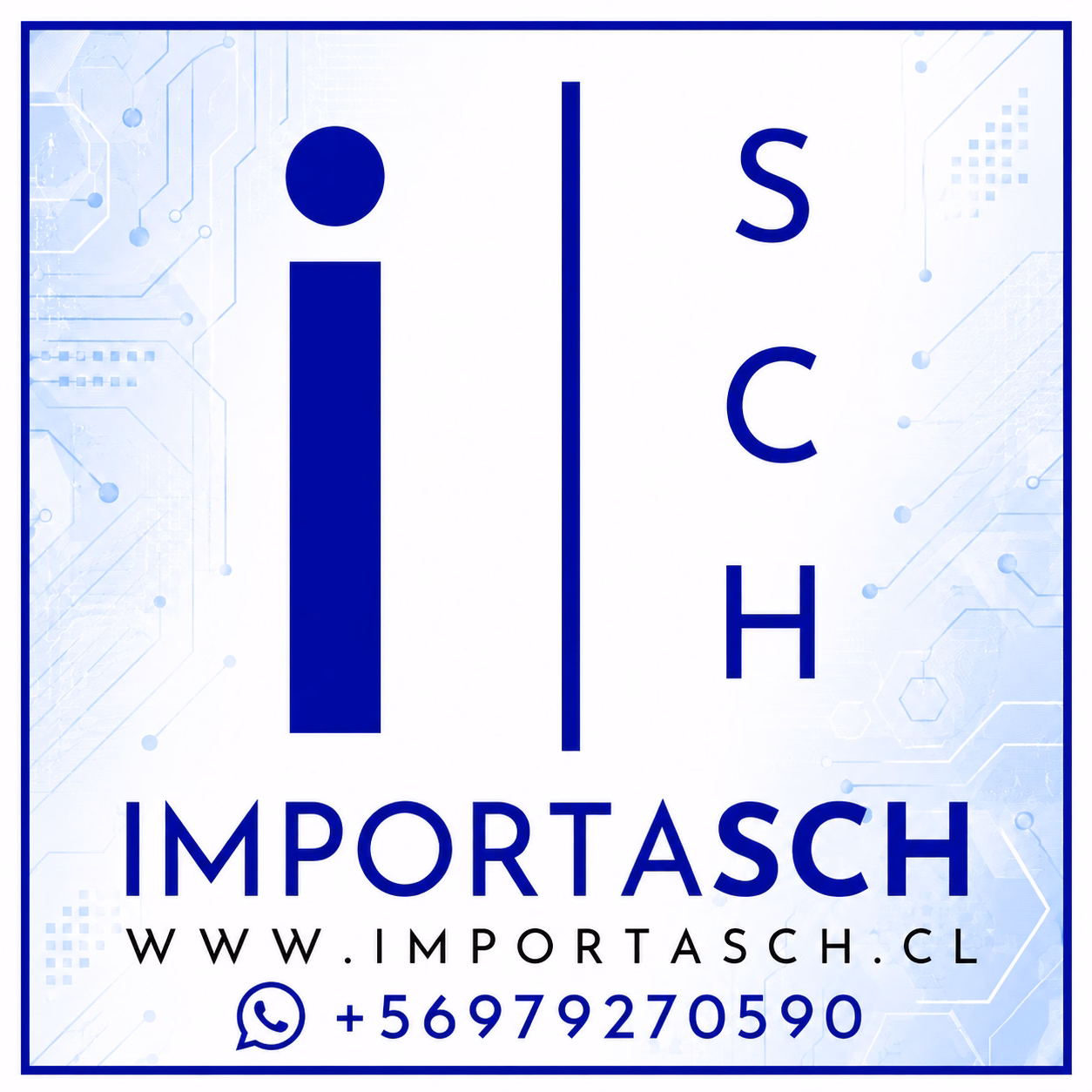 Importasch spa