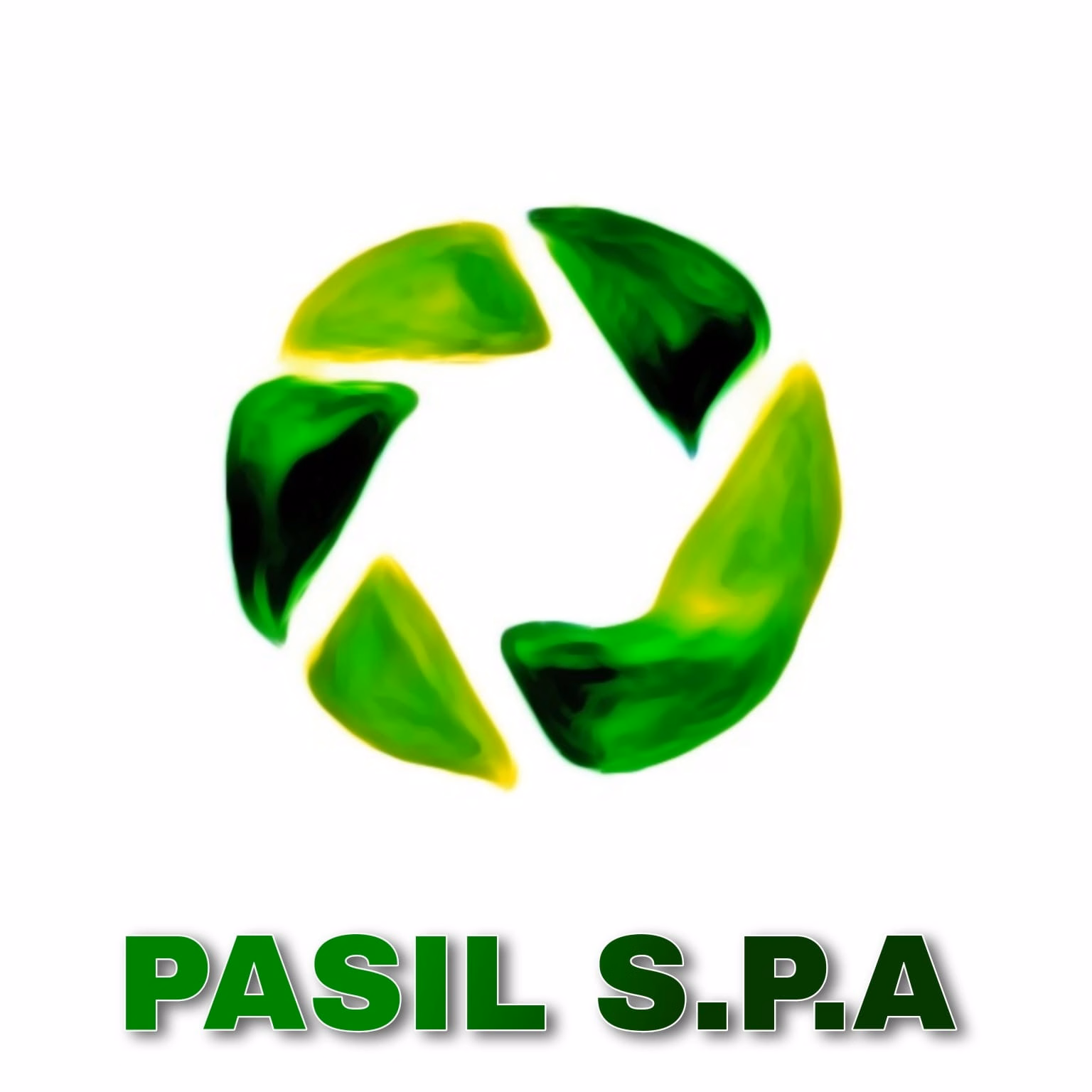 Comercializadora Pasil SPA