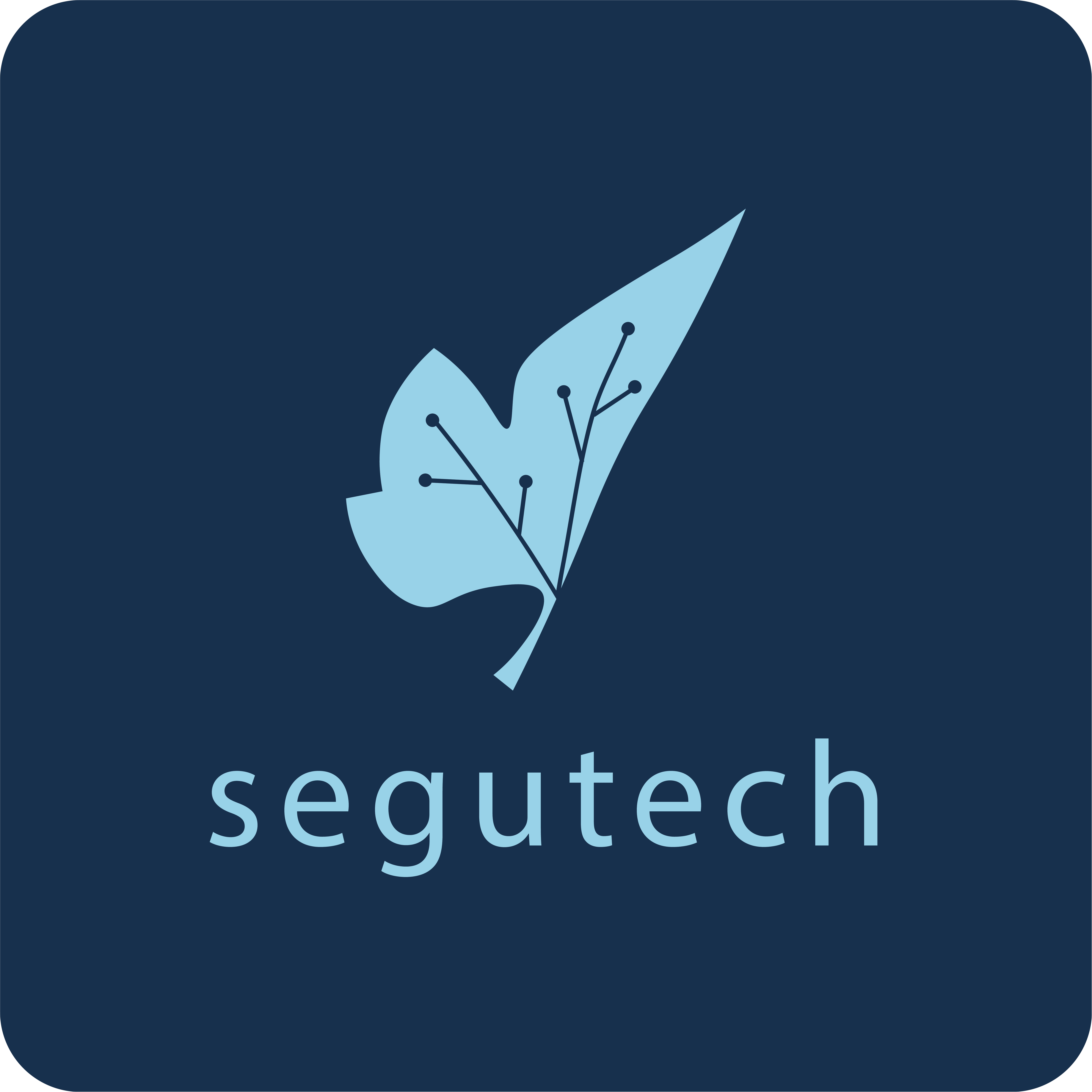 Segutech TI