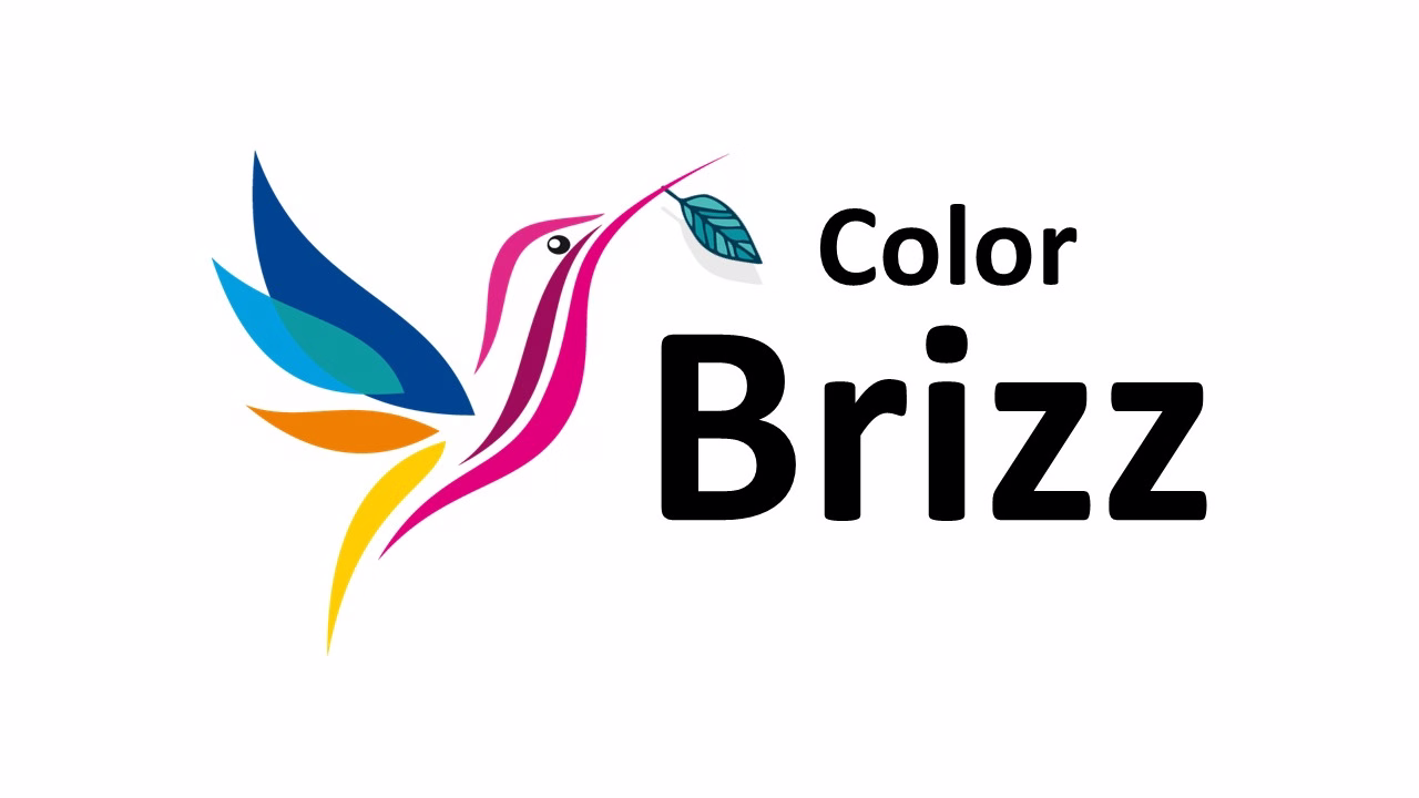 Diana salas, COLORBRIZZ, BAUM Y BRIZZ