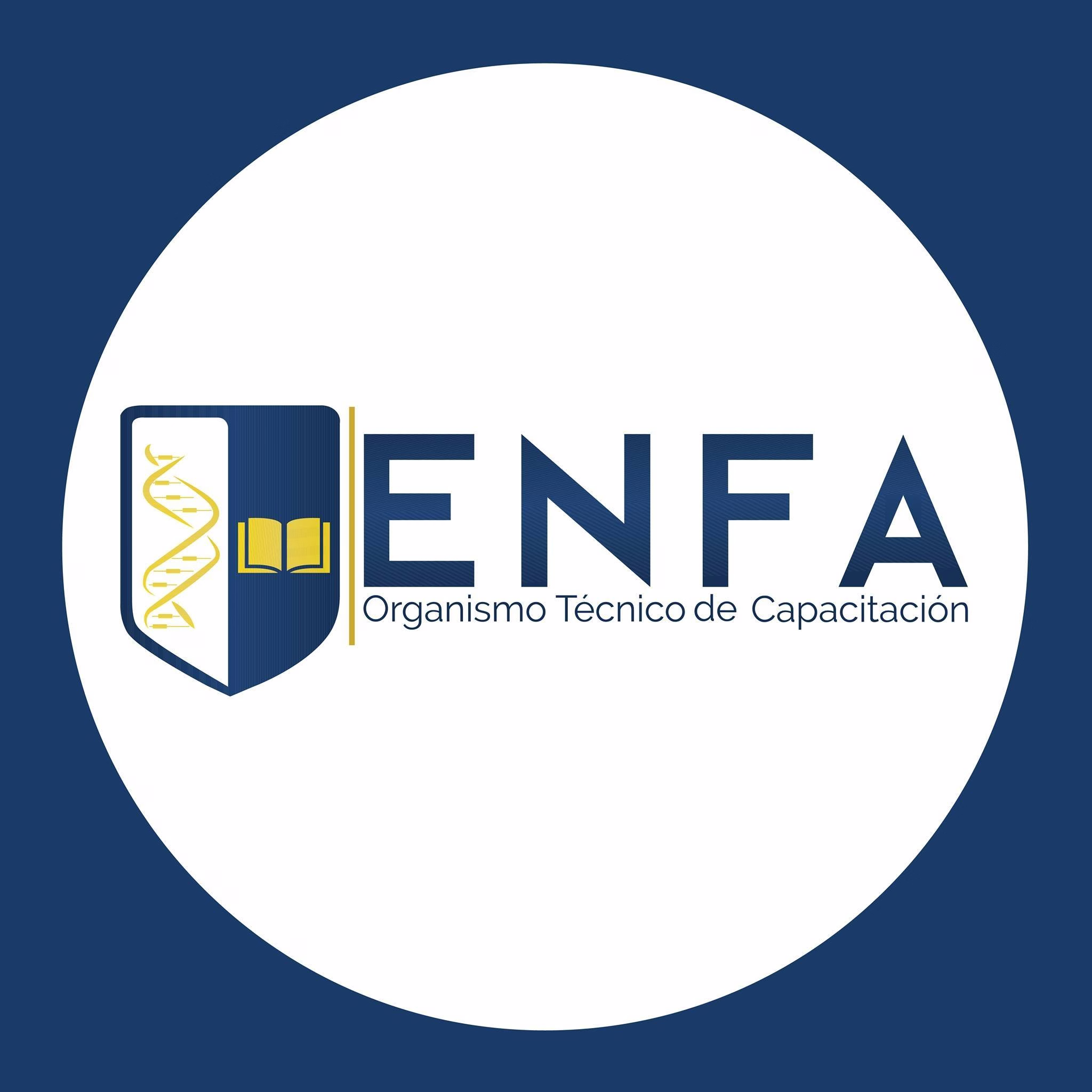Escuela de Negocios ENFA