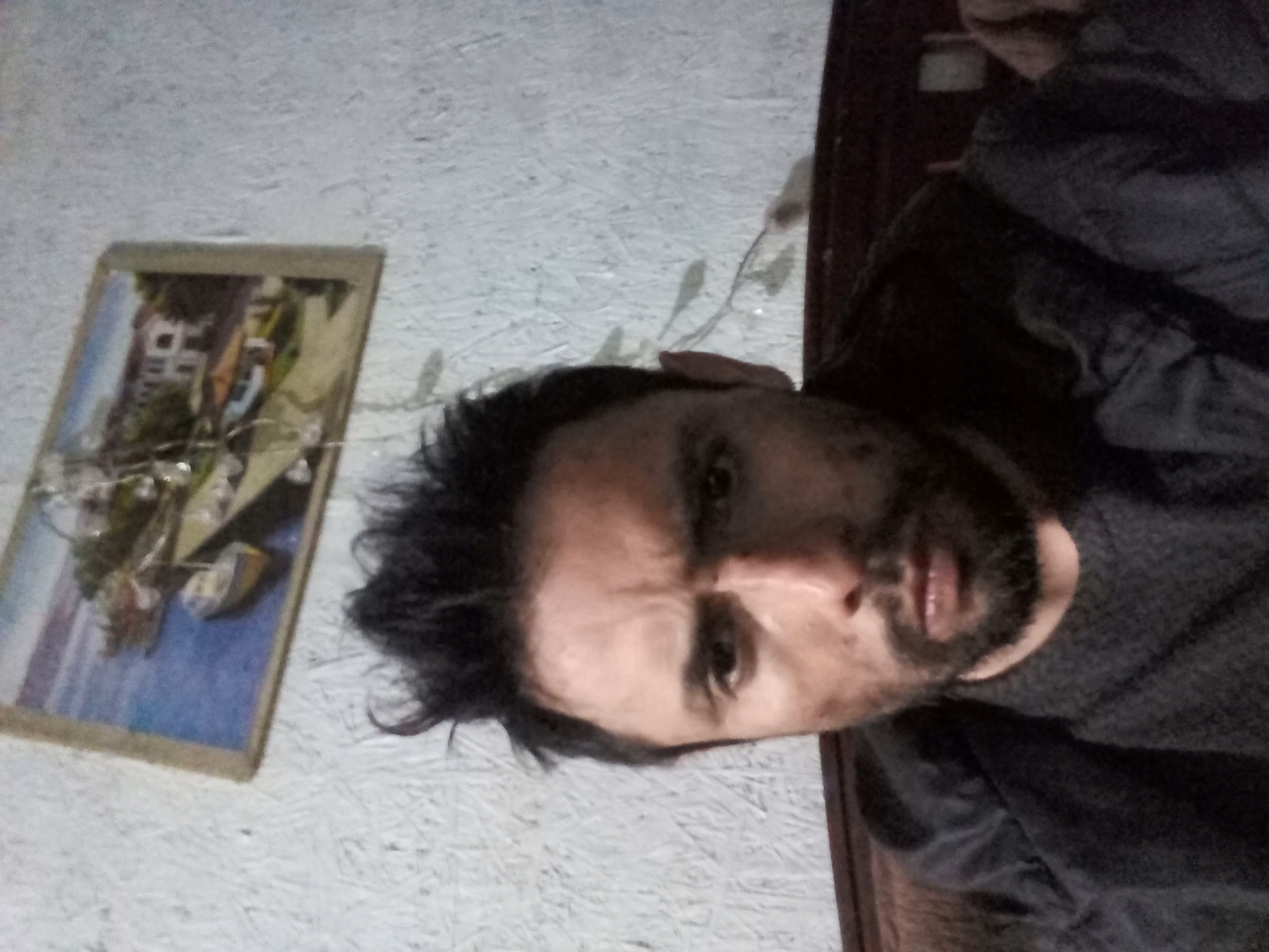 raul villarroel