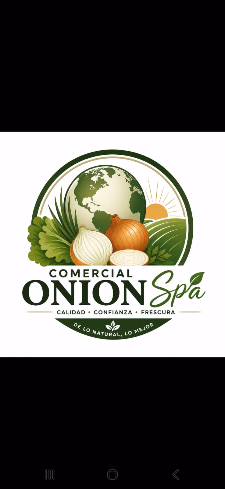COMERCIAL ONION SPA