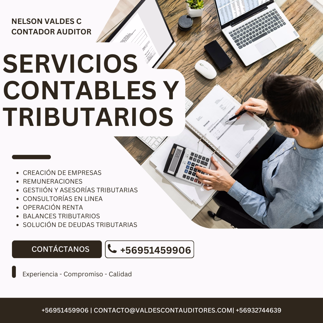 NATIONAL TAX AUDITORES Y CONSULTORES SPA