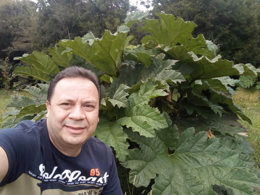 Rafael Rojas