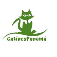 Gatines Panama