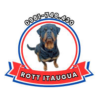 Rottitaugua Insfran