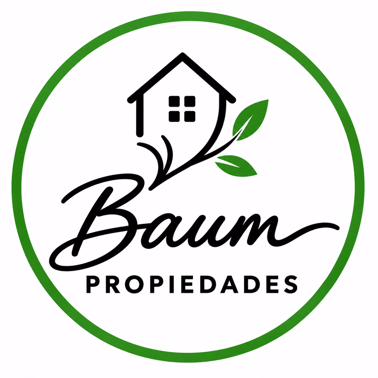 Baum Propiedades