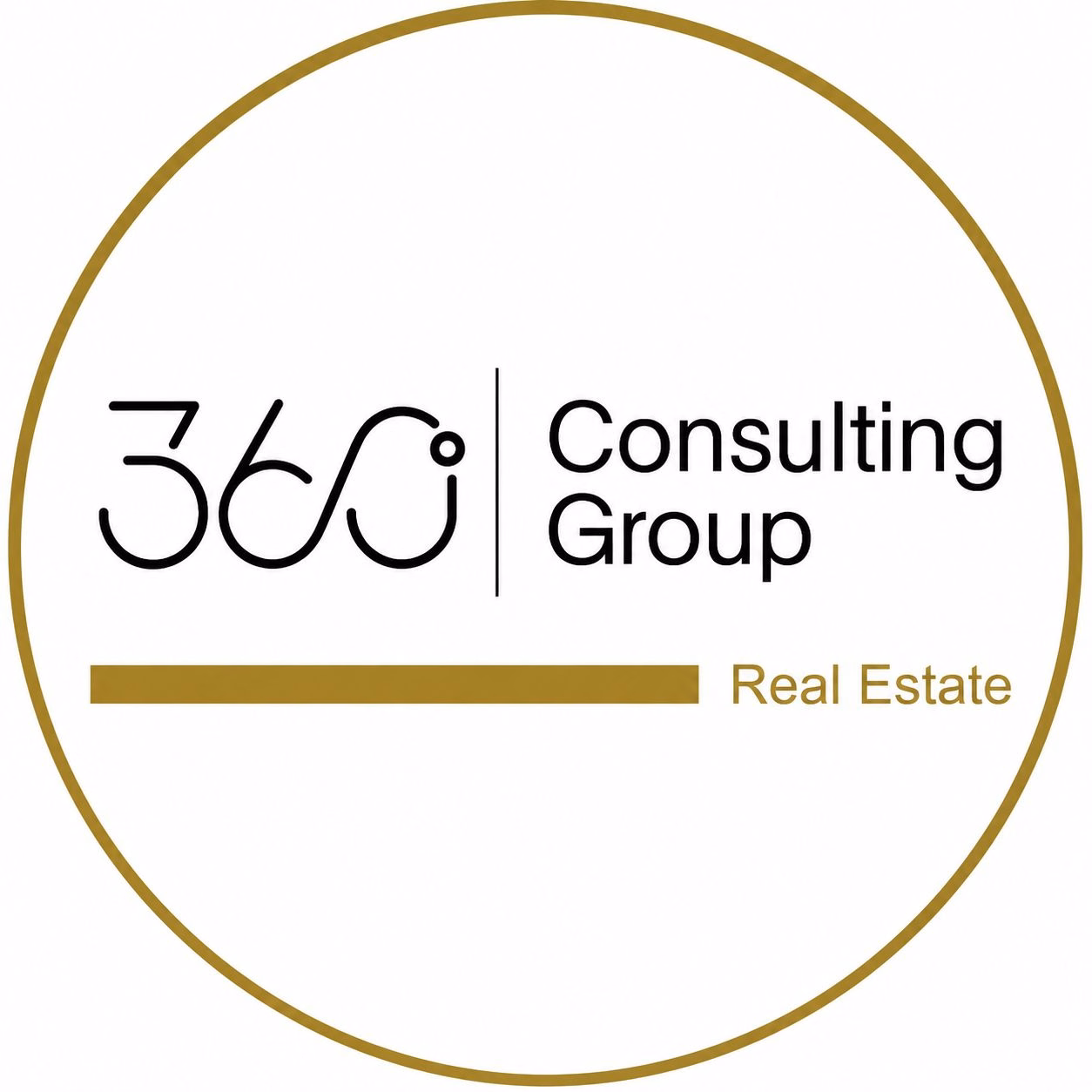 360 Consulting Group Real Estate