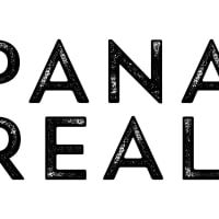 Panama Realty Team