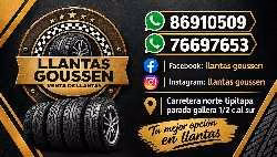 Llantas goussen