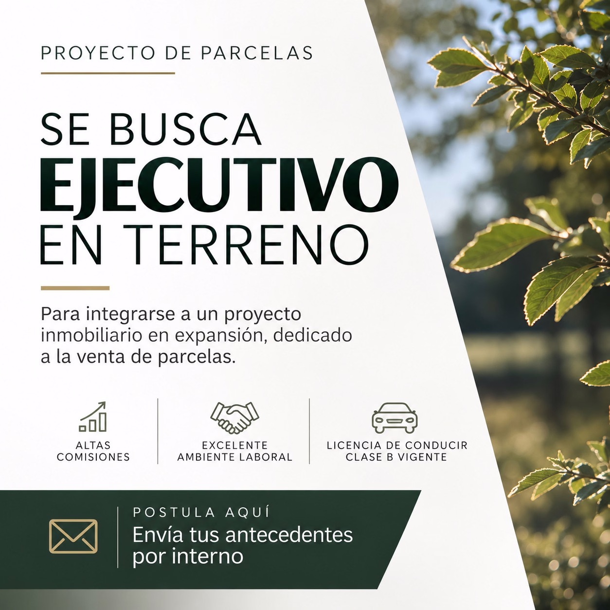 Ventas parcelas