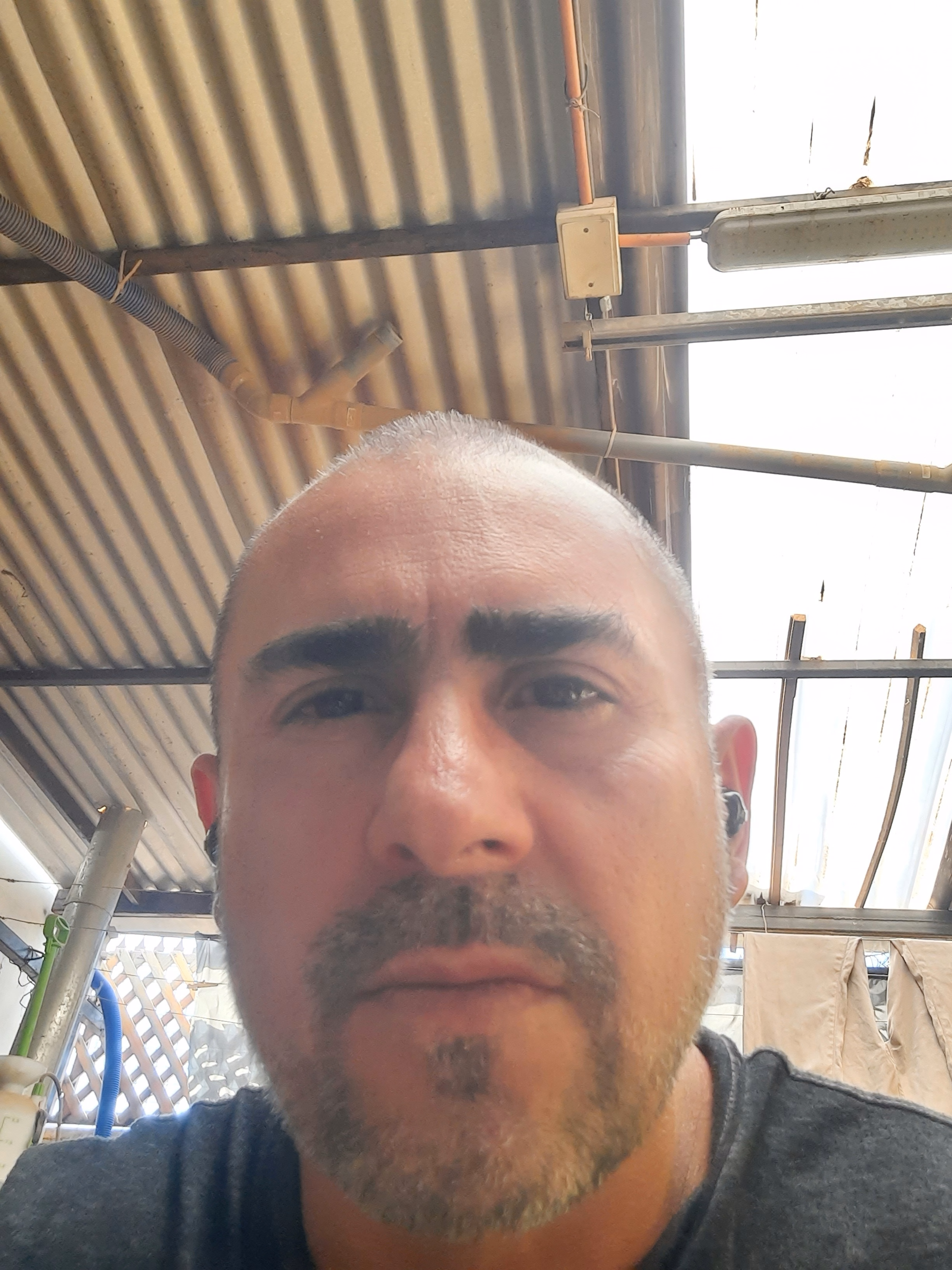 Larry Araya