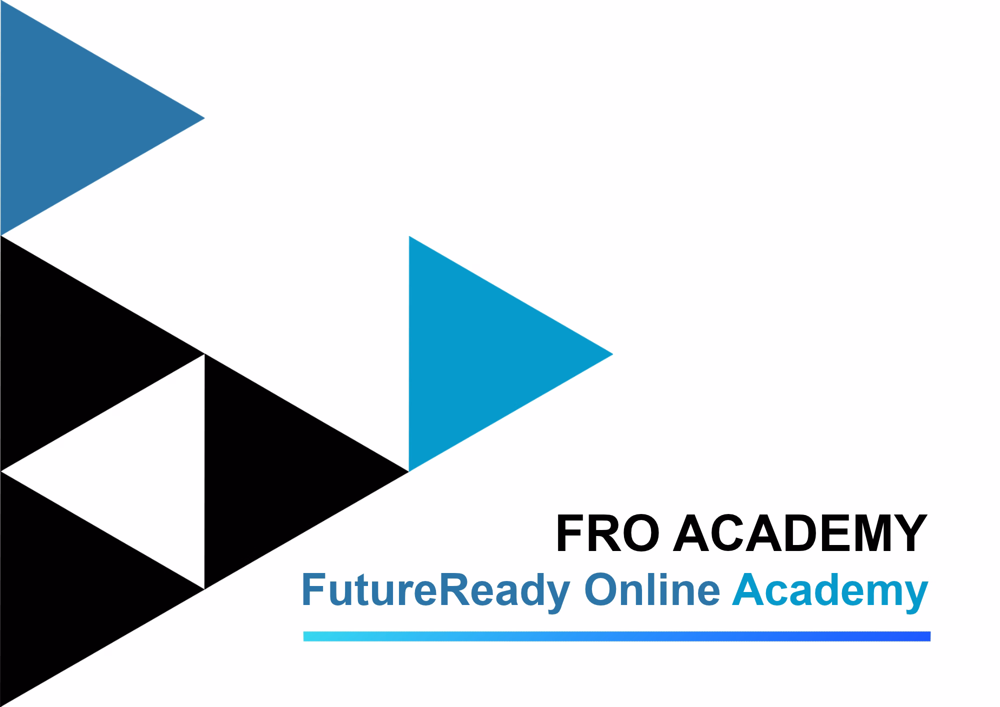 FRO ACADEMY (FutureReady Online Academy)