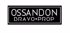 Pelayo Ossandón Bravo