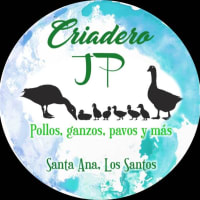 Criadero JP JP