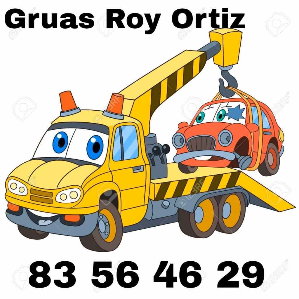 Gruas Roy Ortiz