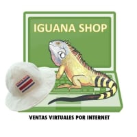 Joshua (Iguana Shop)
