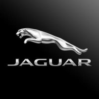 Jaguar .