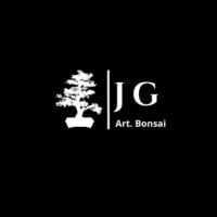 JG.ART BONSAI