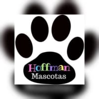 Veterinaria Hoffman Mascotas Hoffman mascotas