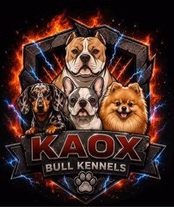 Kaox bull kennels