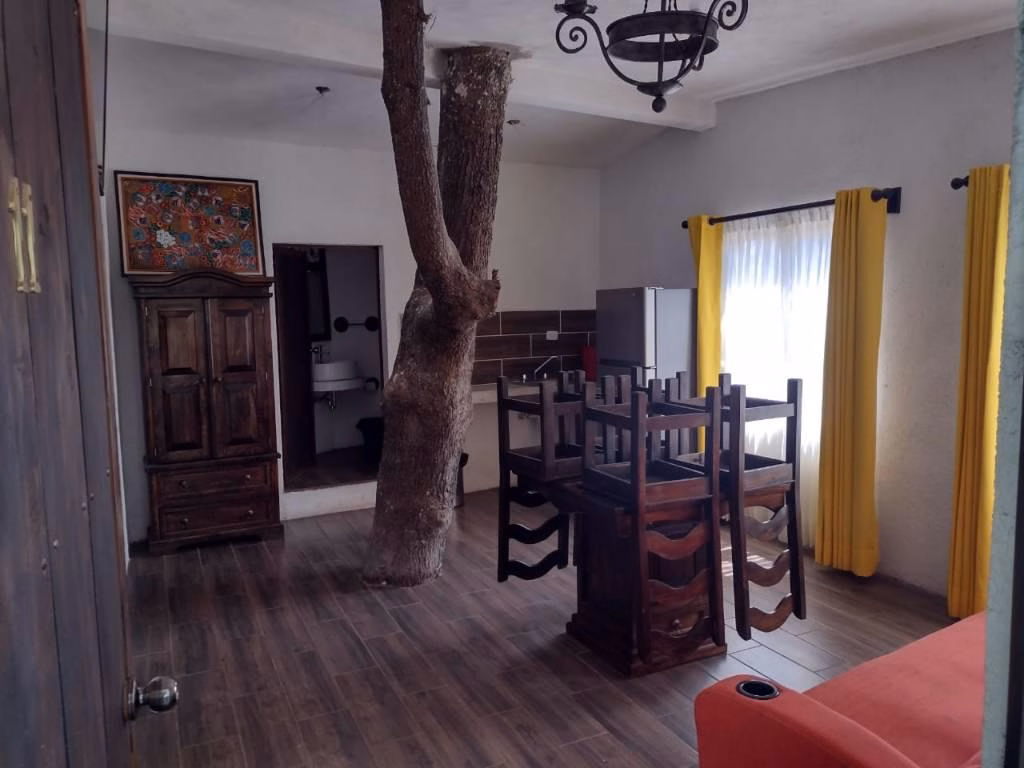 Hotel Del bosque